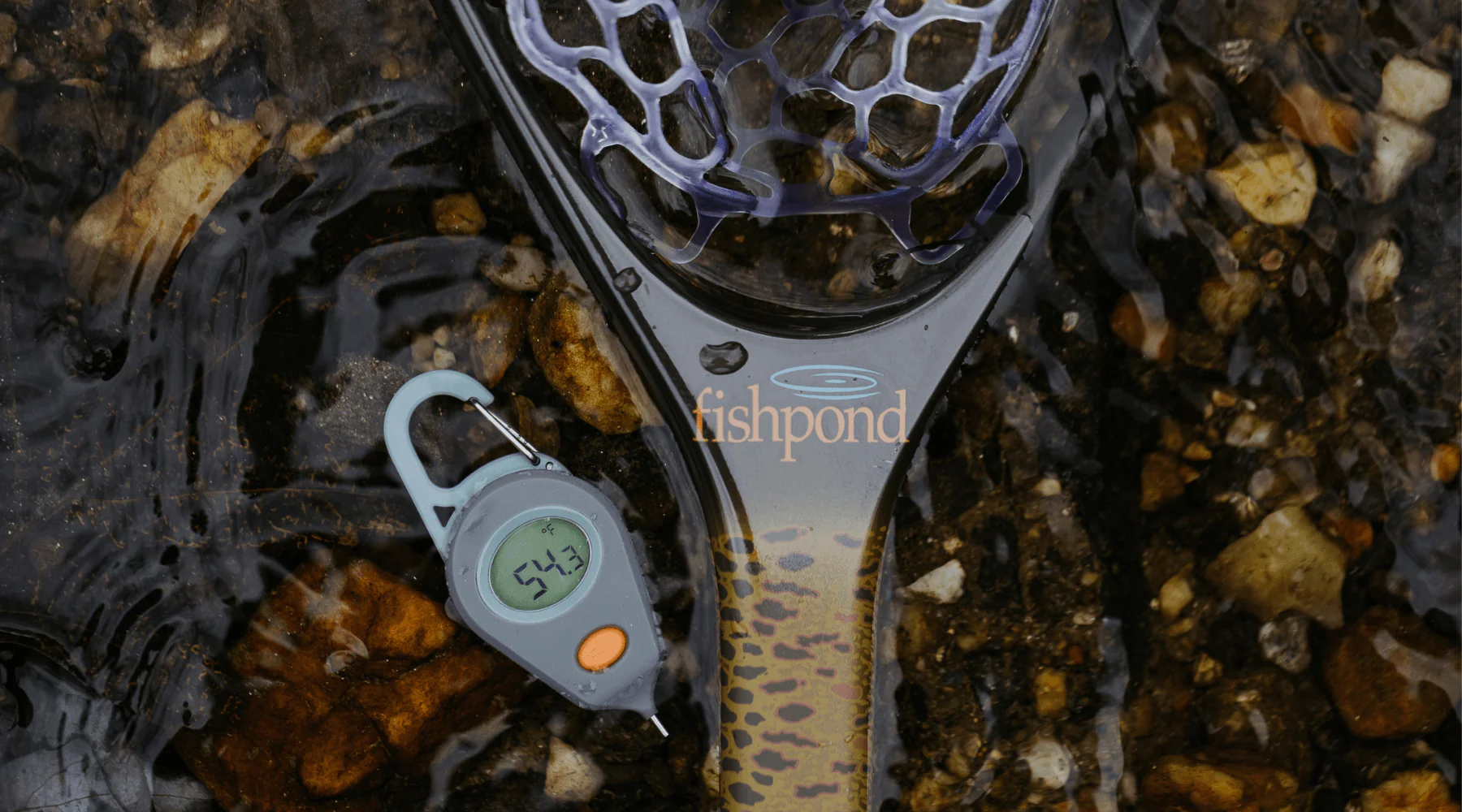 Master the Art of Angling