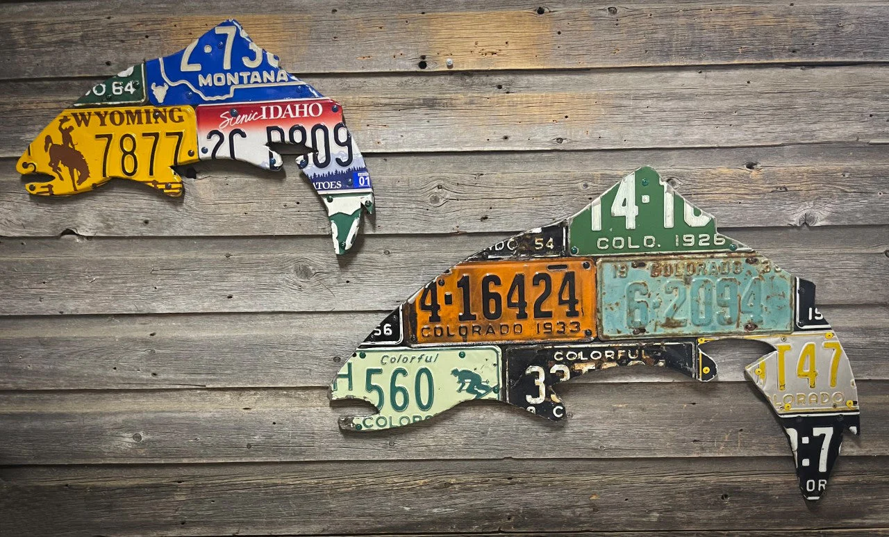 24" Mixed Western State Trout License Plate Art - Image 2