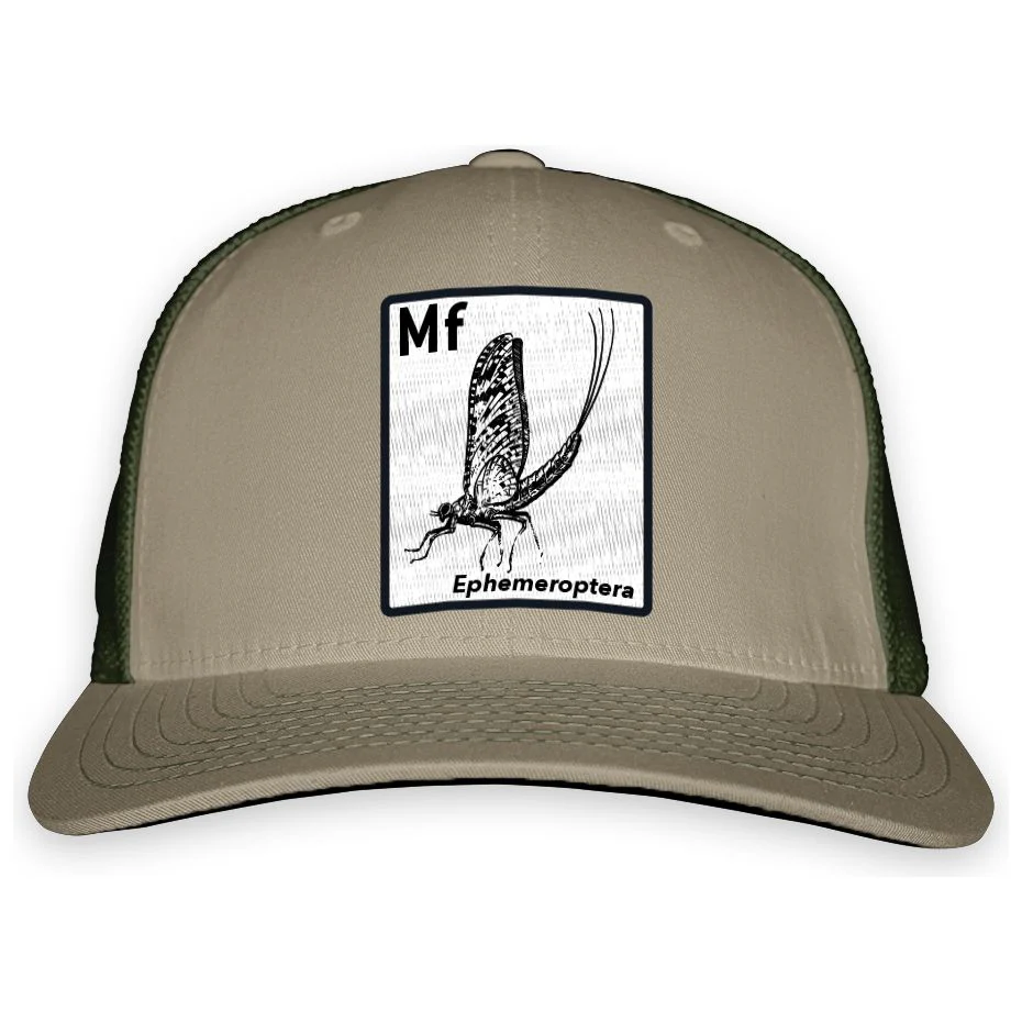 Rep Your Water Periodic Mayfly Hat - Image 2