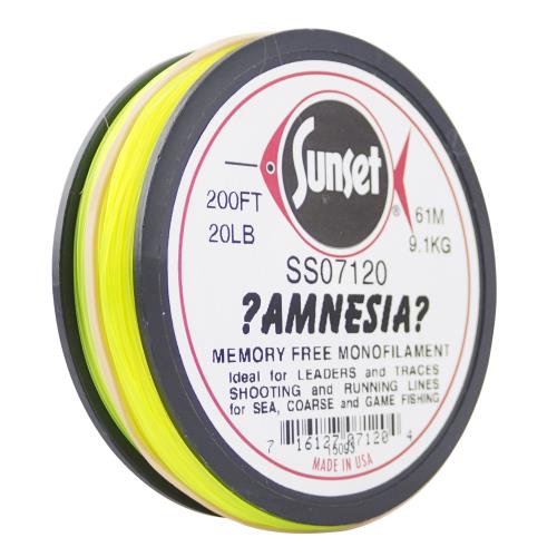 AMNESIA SHOOTING MONO