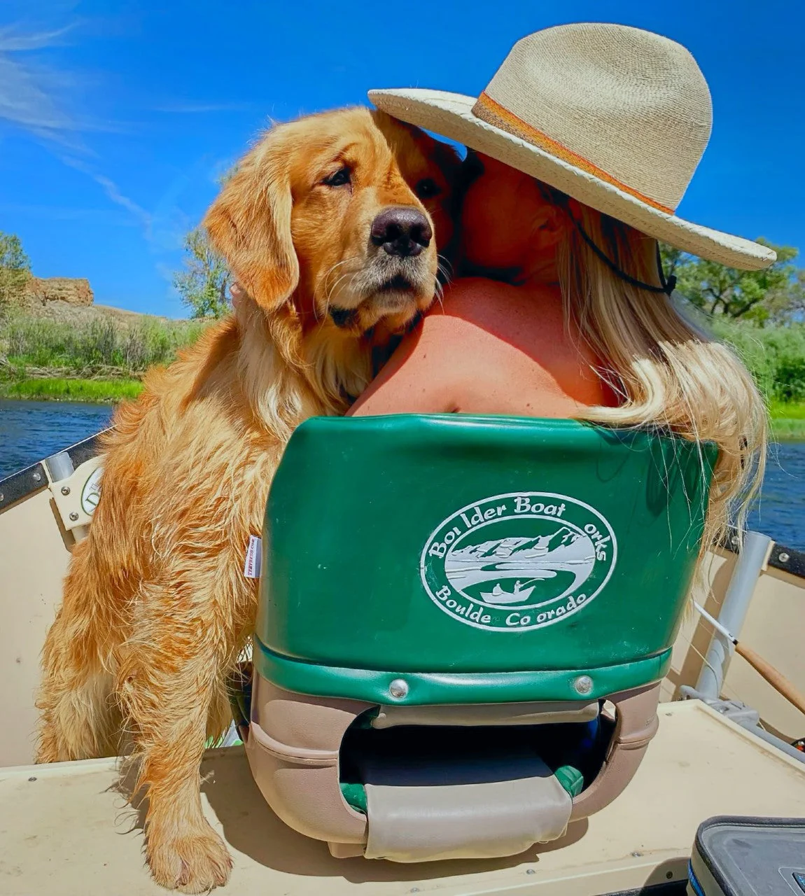 Bahamas Golden Retriever - Image 3