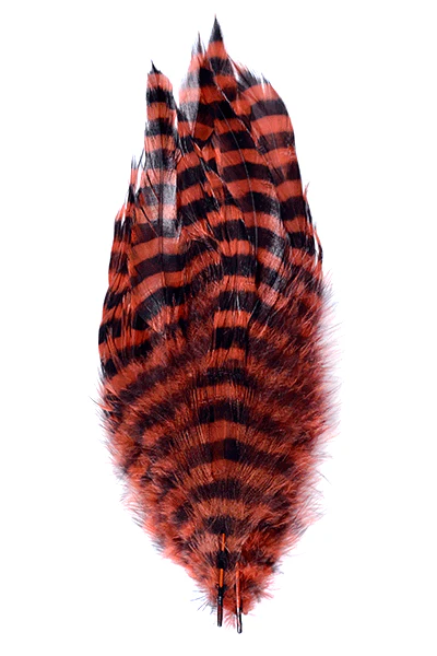 MFC Barred Schlappen - Image 13