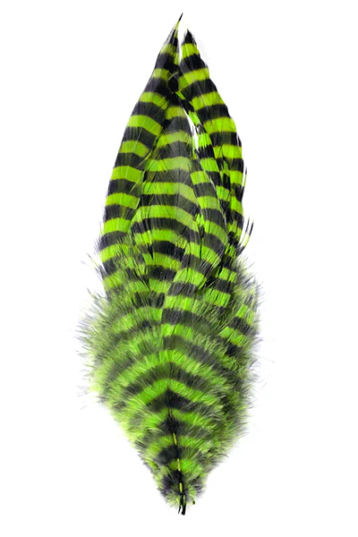 MFC Barred Schlappen - Image 4