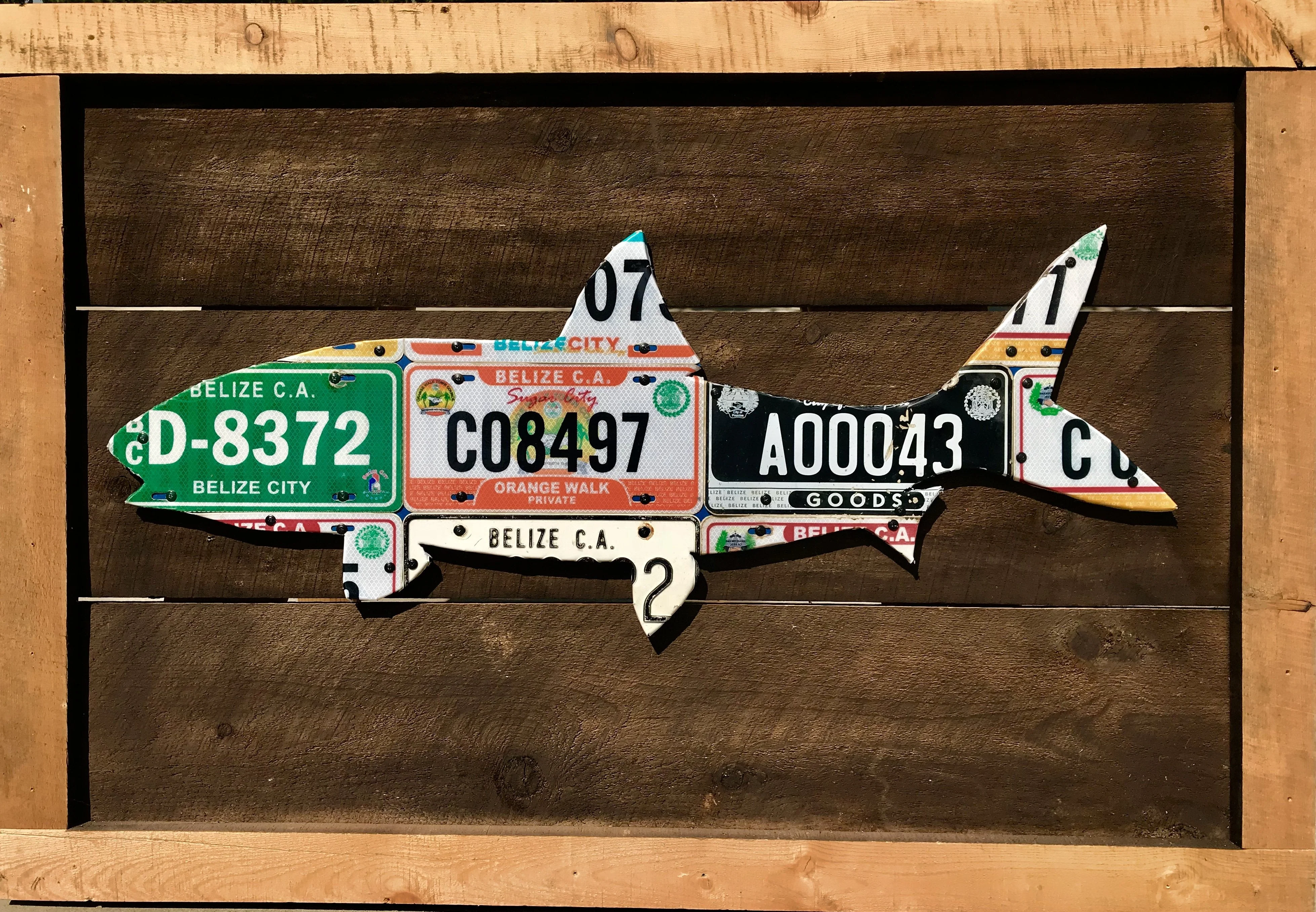 Belize Bonefish License Plate Art - Image 2