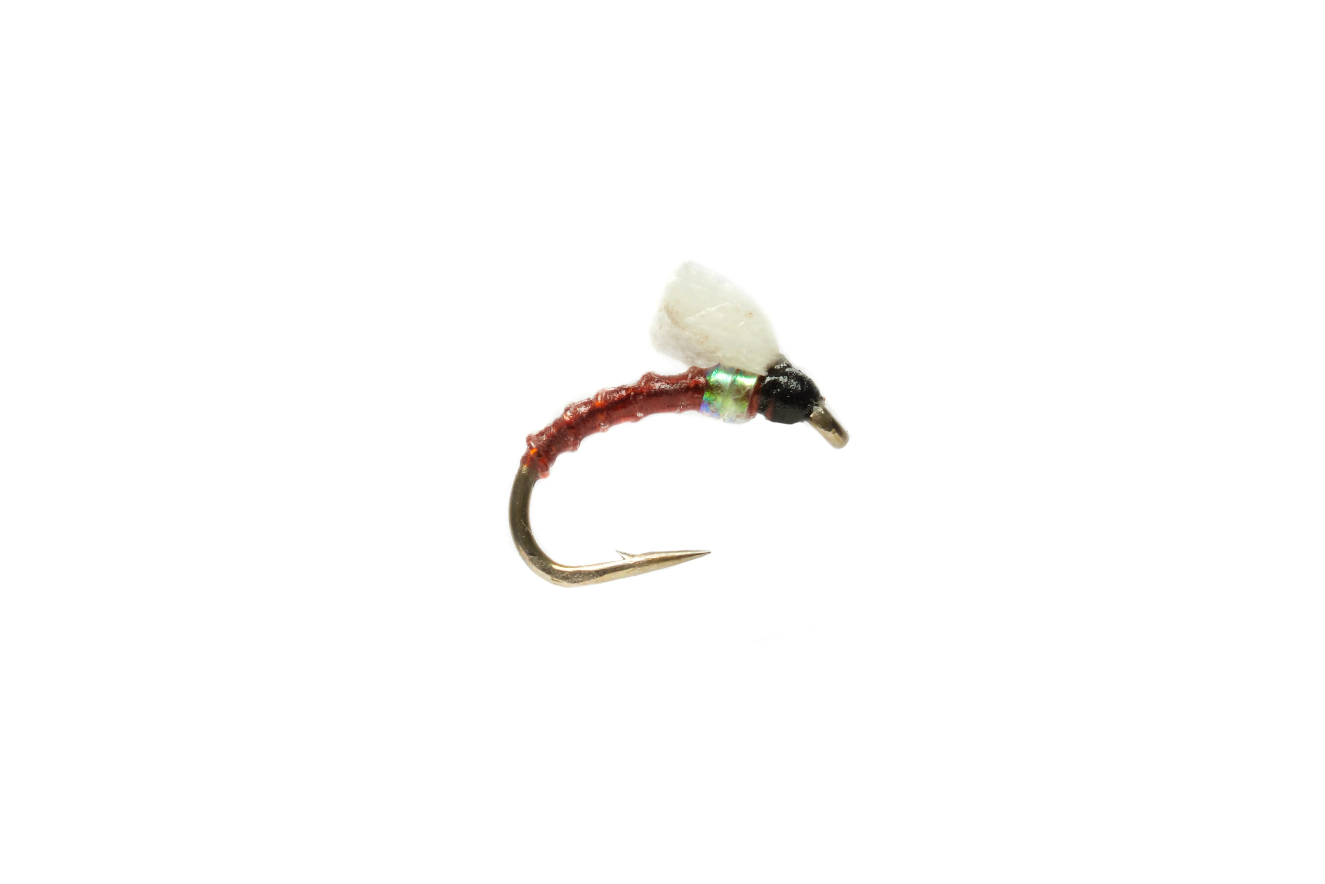 Boroffs Foamie Homie Brown