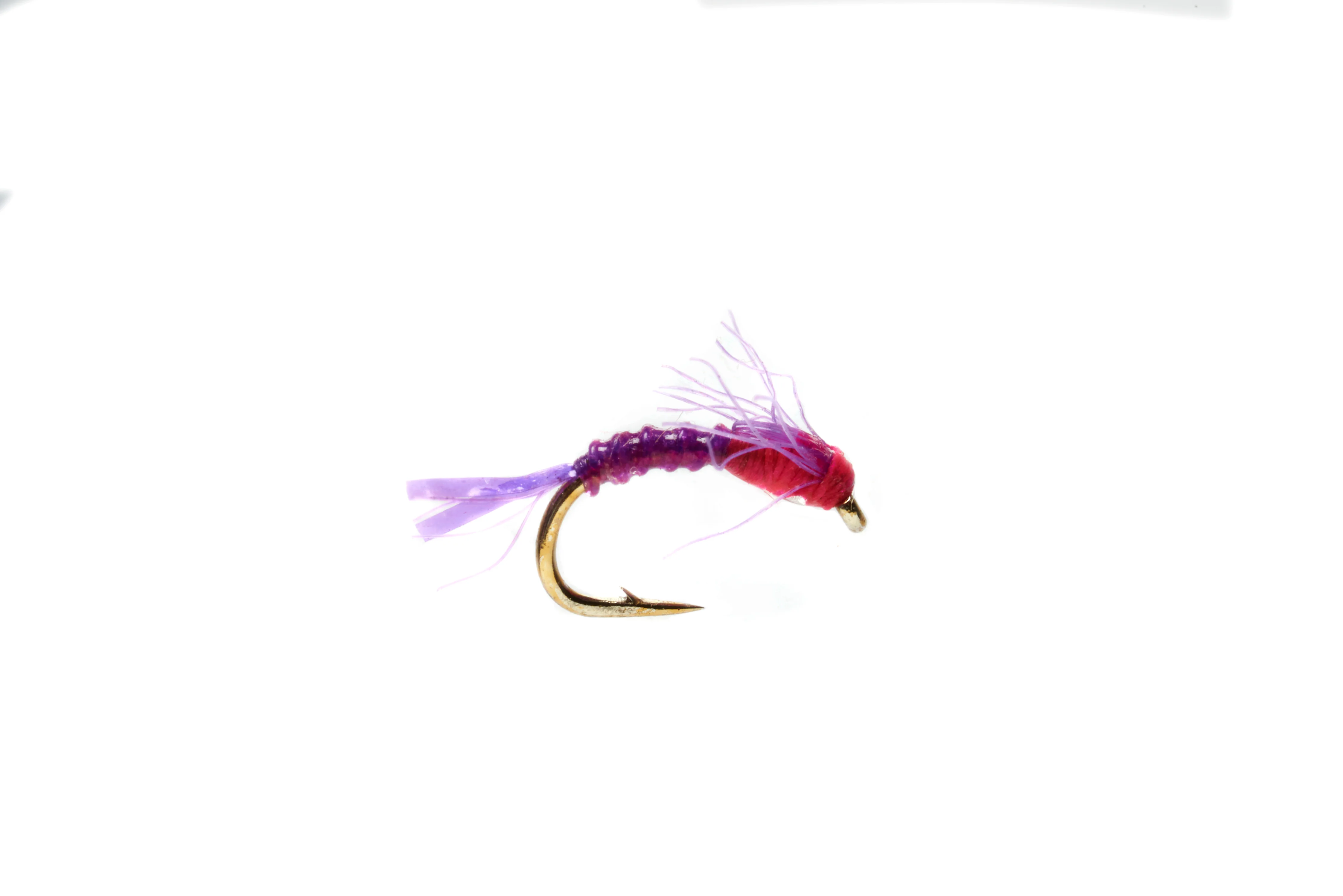 Boroffs Hot Belly Baetis Purple