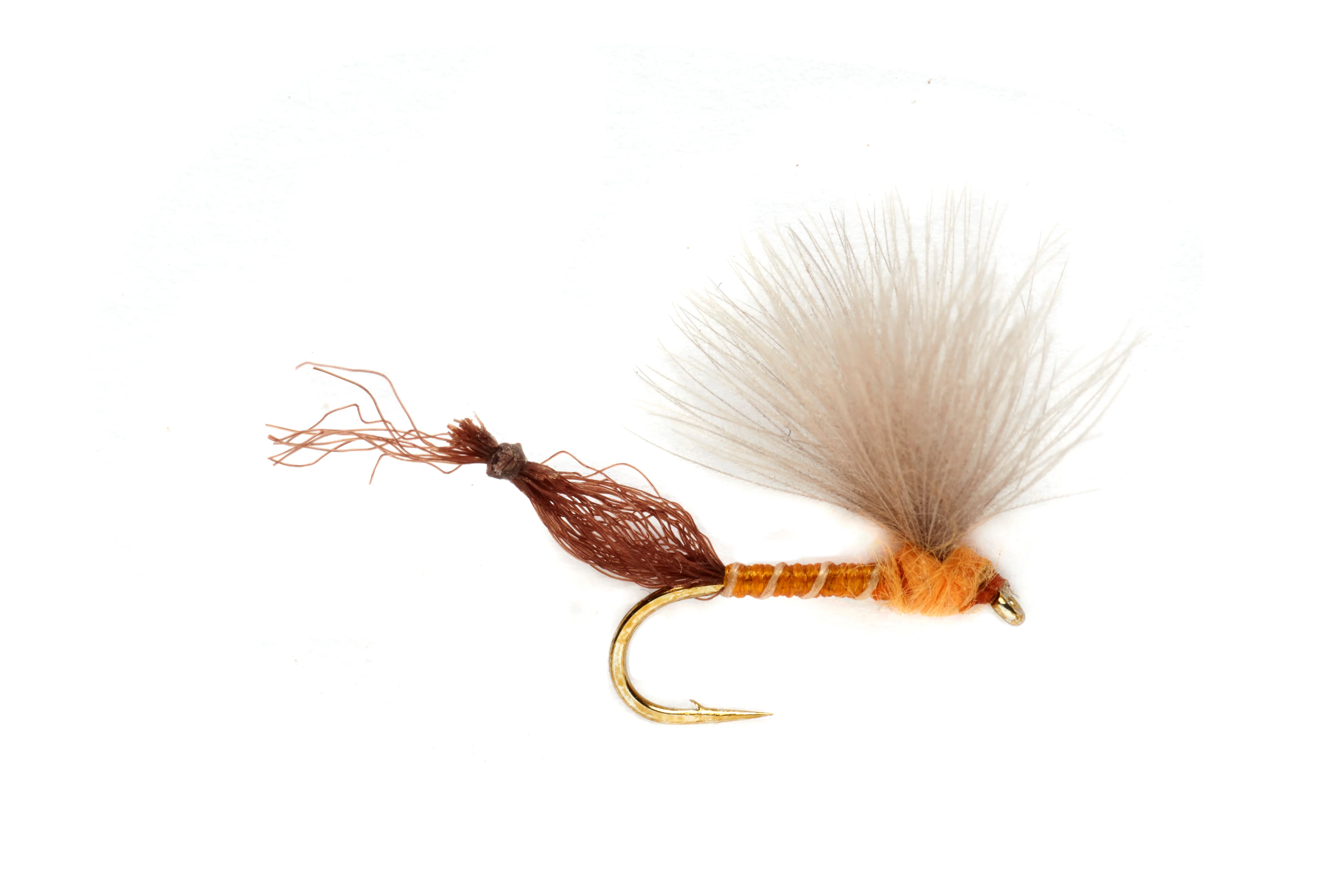 Burkus Riffle Robber Orange