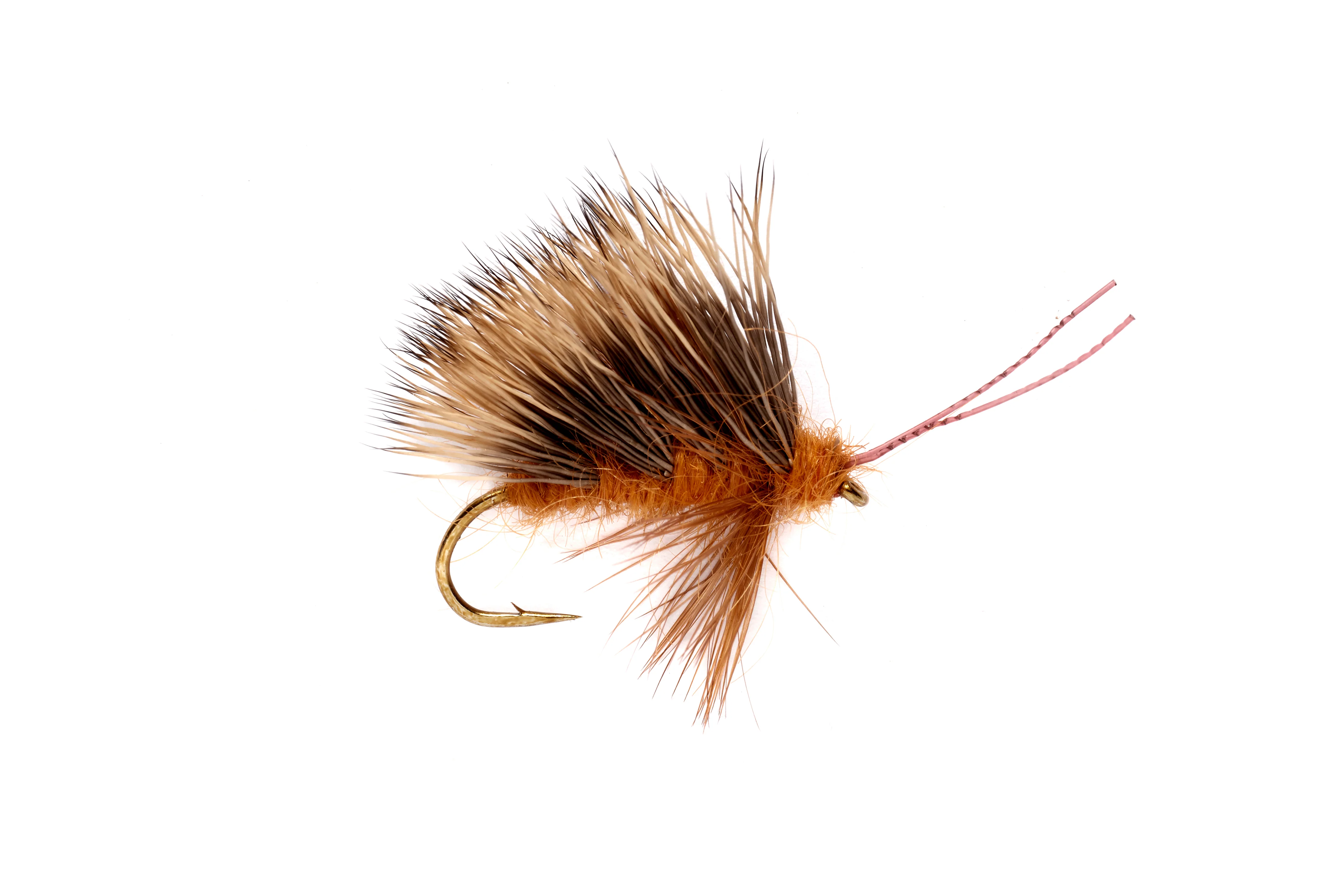 Burkus Sedgeback October Caddis