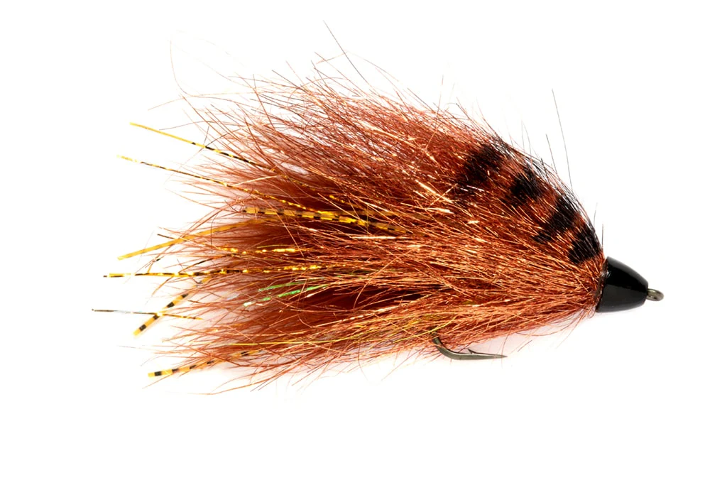 Daddy's Money Copper