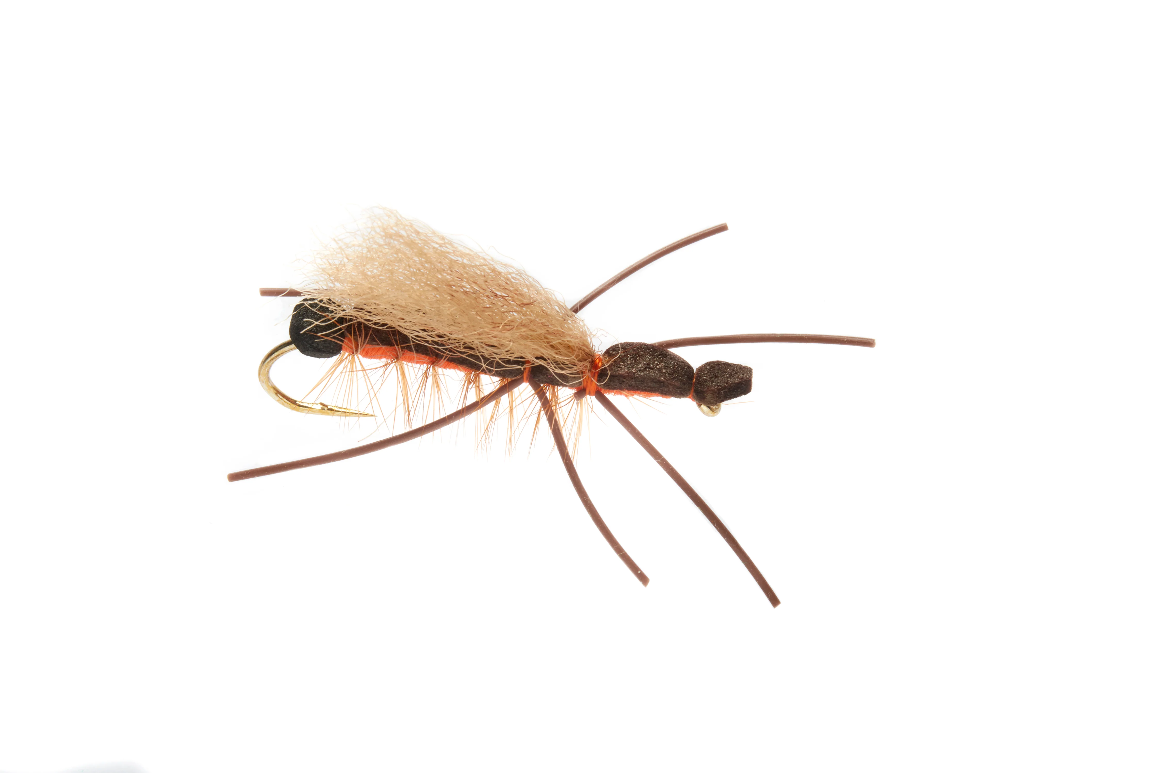 Eldens Pteranycis Orange