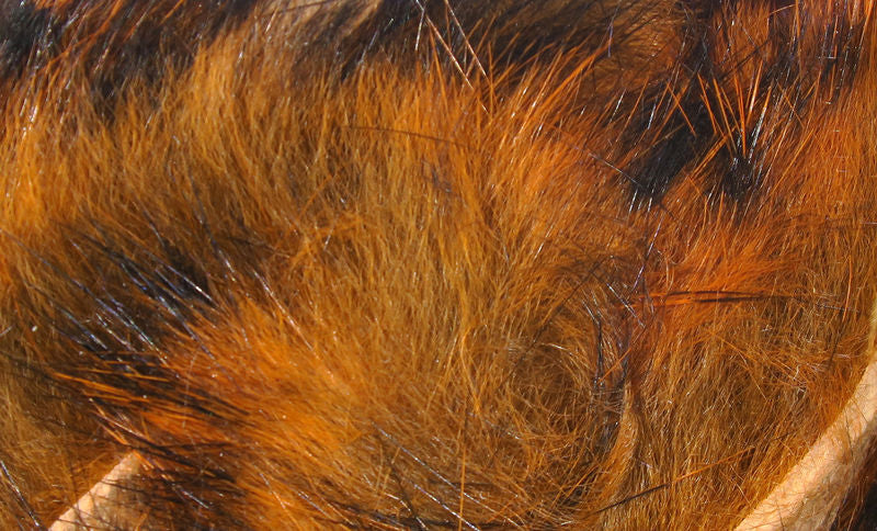 Black Barred Rabbit Strips - Image 21