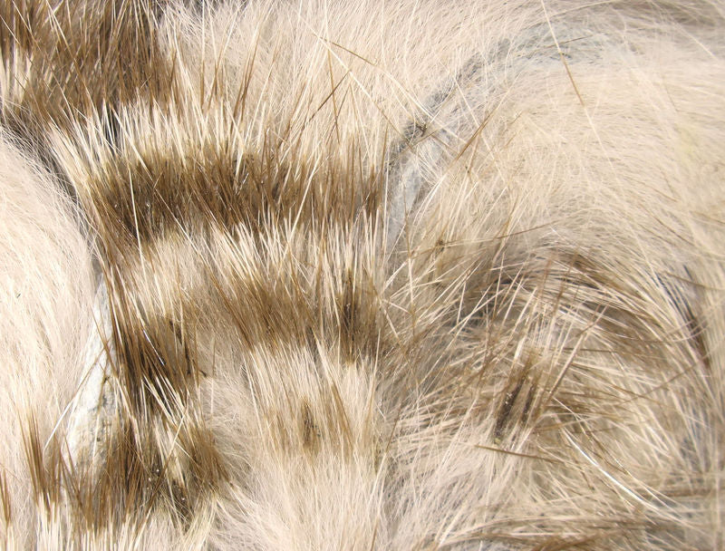 Brown Barred Magnum Rabbit Strips