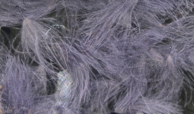 CDC Oiler Puffs - Image 14