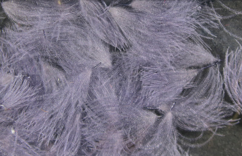 CDC Oiler Puffs - Image 17