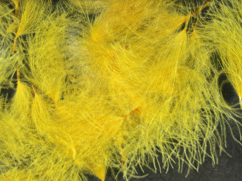 CDC Oiler Puffs - Image 5