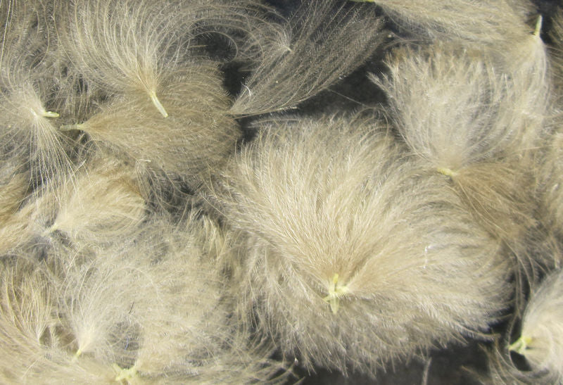 CDC Oiler Puffs - Image 9