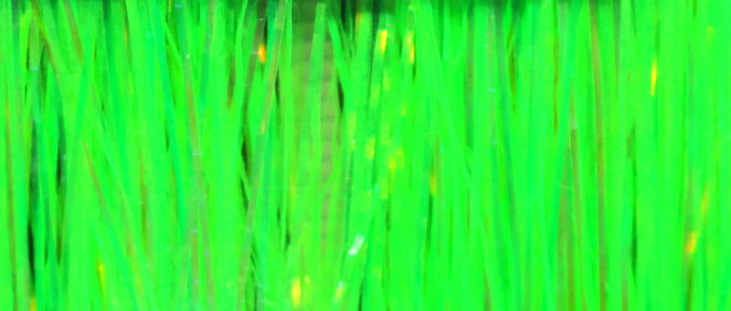 Chroma Flash - Image 3