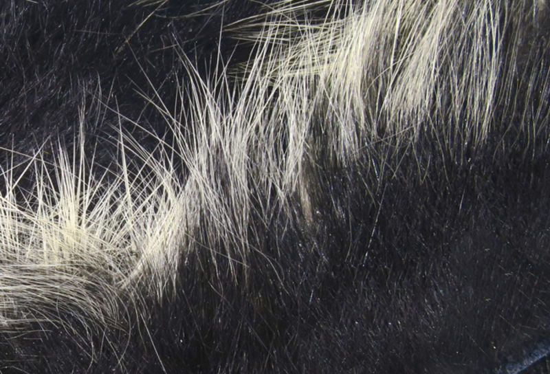 Crosscut Frostip Rabbit Strips - Image 5