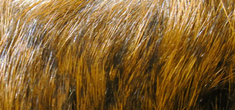 Dyed Grade #1 Hare's Mask - Image 4
