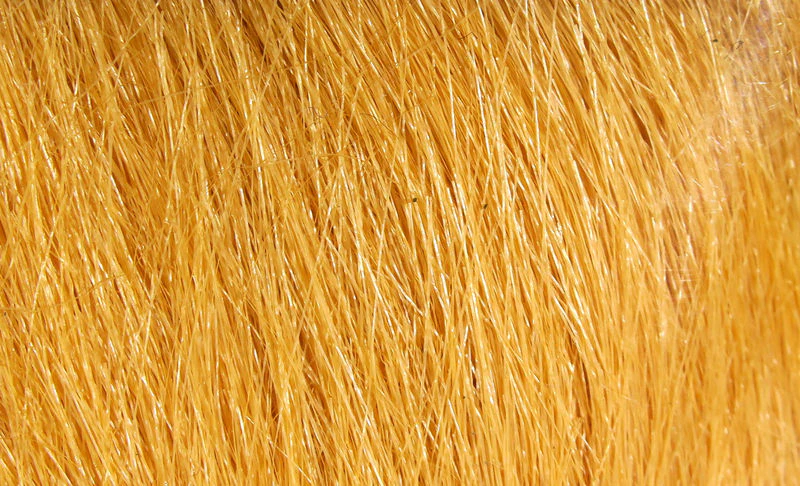 Extra Select Craft Fur - Image 33