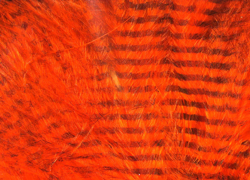 Fine Black Barred Marabou Feathers - Image 3