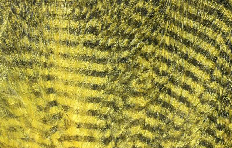 Fine Black Barred Marabou Feathers - Image 7