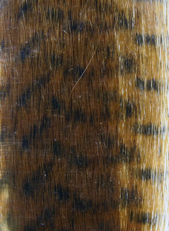 Grizzly Fibre - Image 3