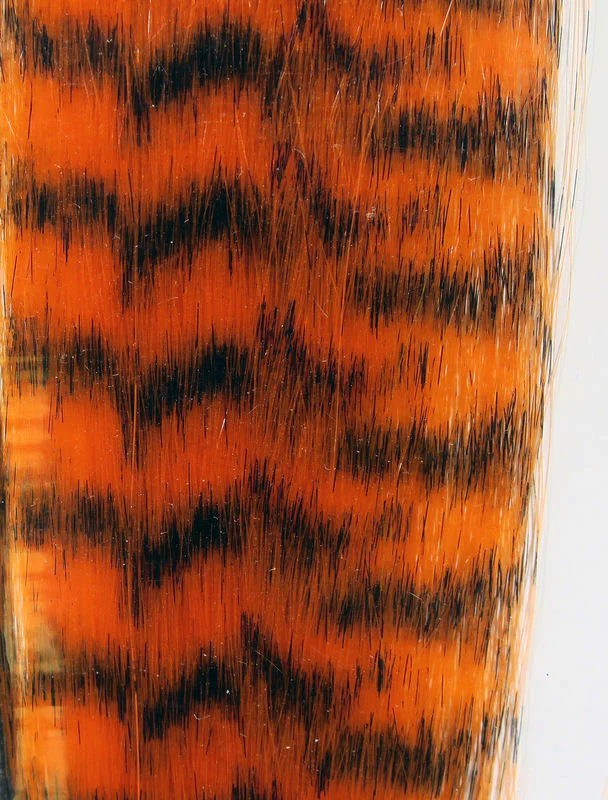 Grizzly Fibre - Image 9