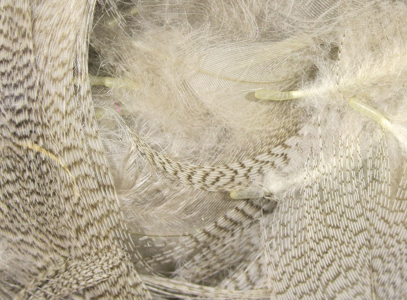 Mallard Flank - Image 7