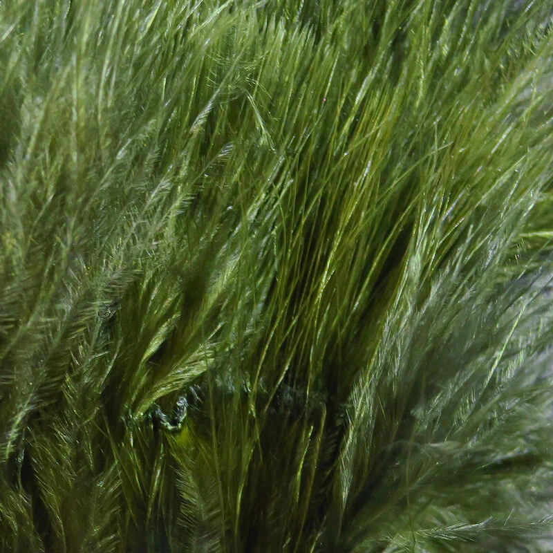 Marabou Blood Quills - Image 11