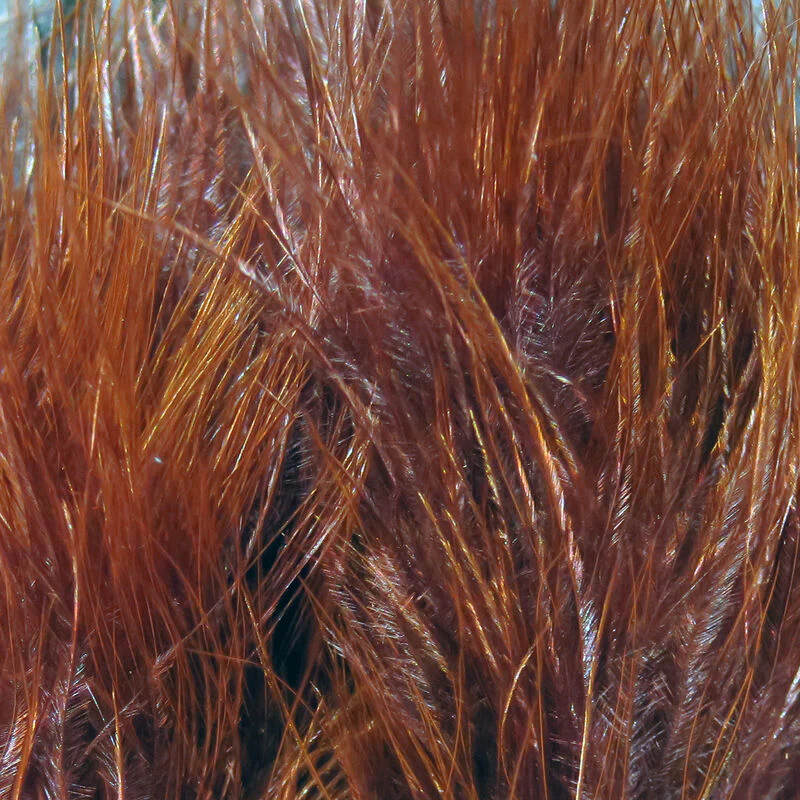 Marabou Blood Quills - Image 31