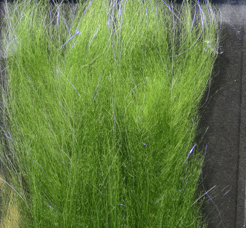 Polar Fiber Brush - Image 7