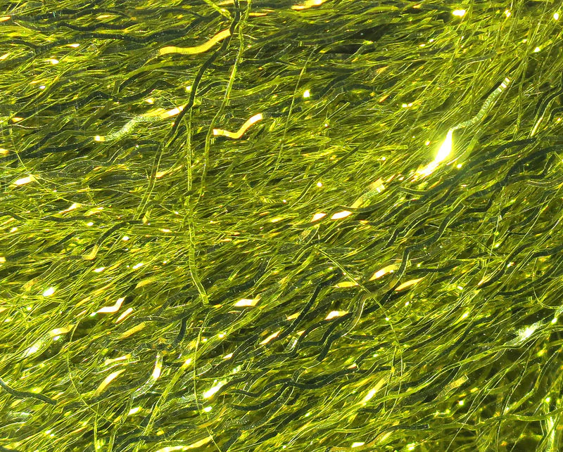 Ripple Ice Fiber - Image 6