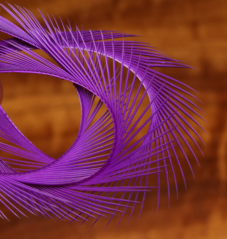 Stripped Goose Biots - Image 3