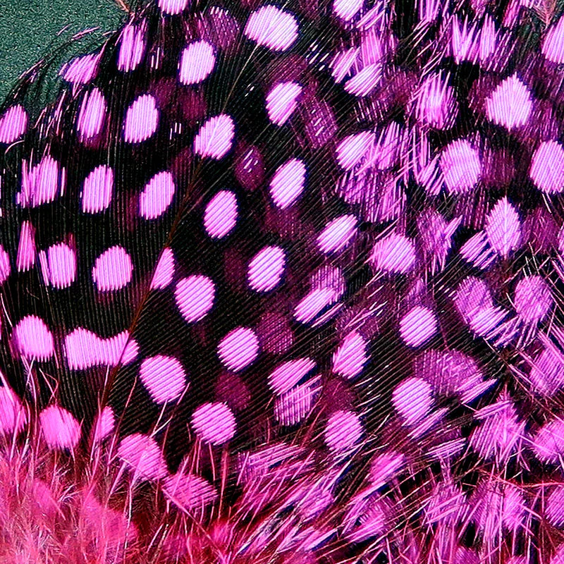 Strung Guinea Feathers - Image 2