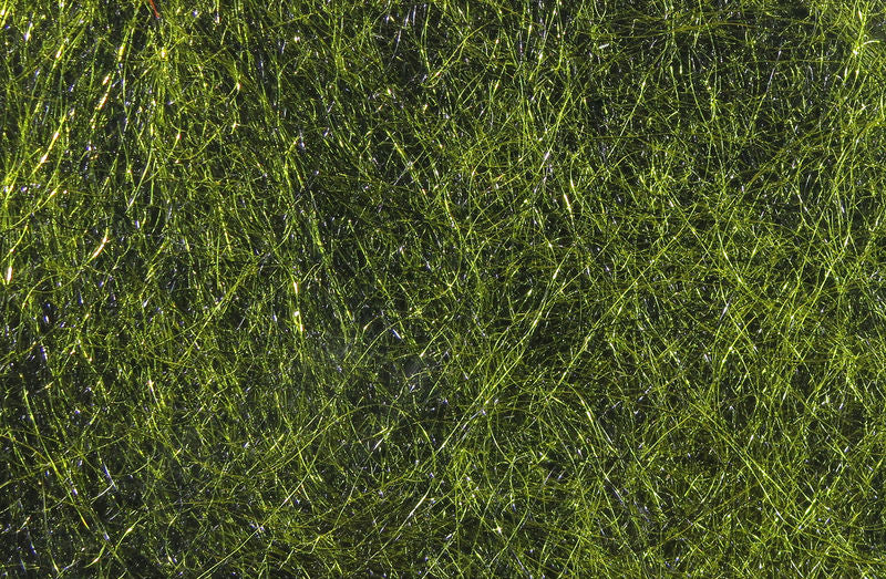 UV2 Seal-X Dubbing - Image 6