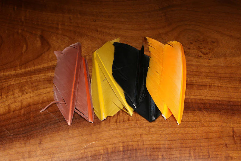 UV2 Turkey Biot
