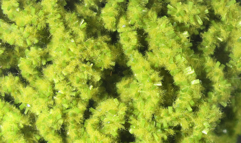Wormille Fine - Image 4