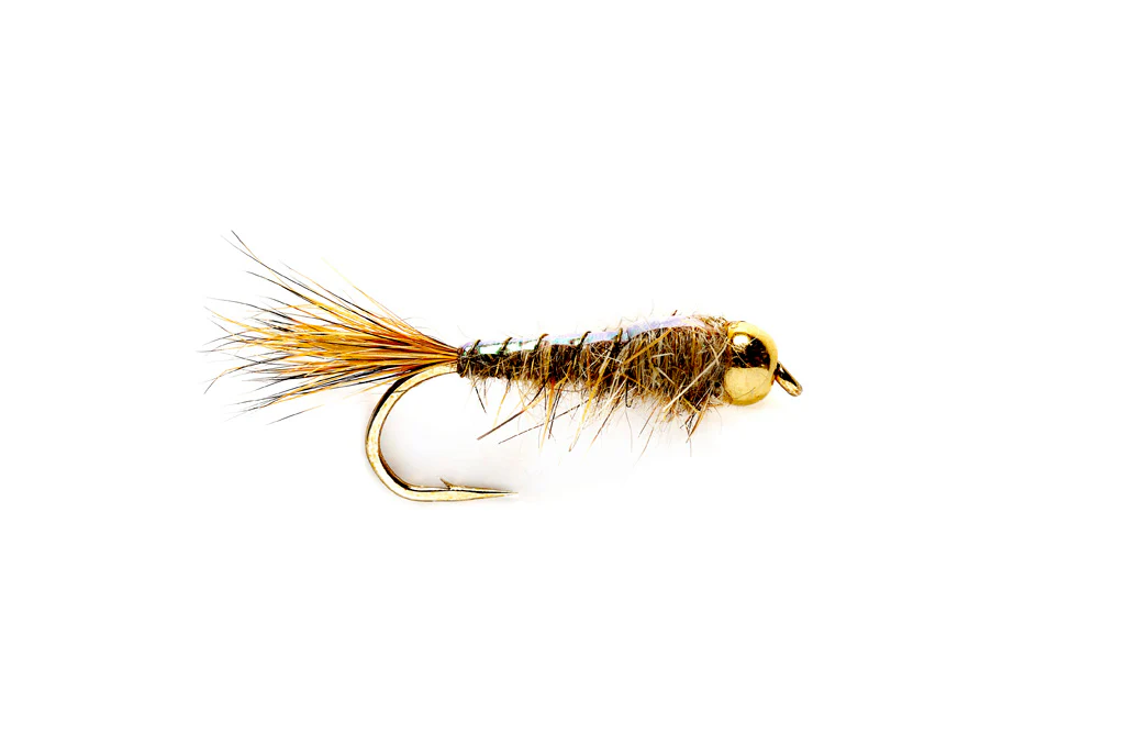 Hare's Ear Flashback Nymph Tungsten Beadhead