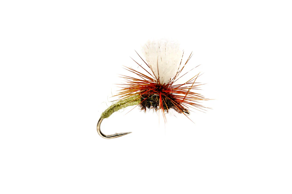 Klinkhammer Olive