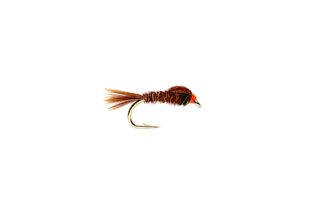Pheasant Tail Nymph