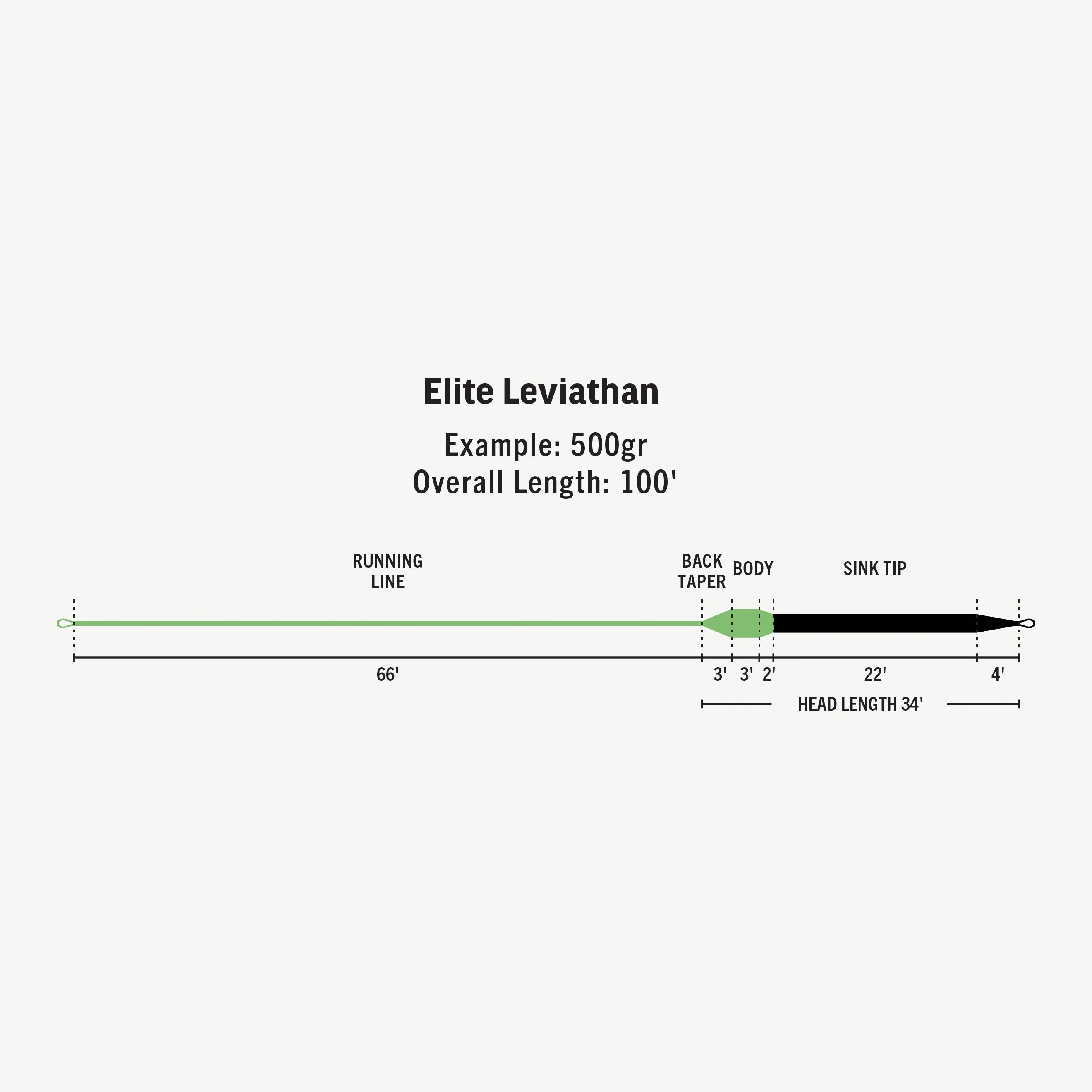RIO ELITE LEVIATHAN 26FT SINK TIP FLY LINE - Image 9