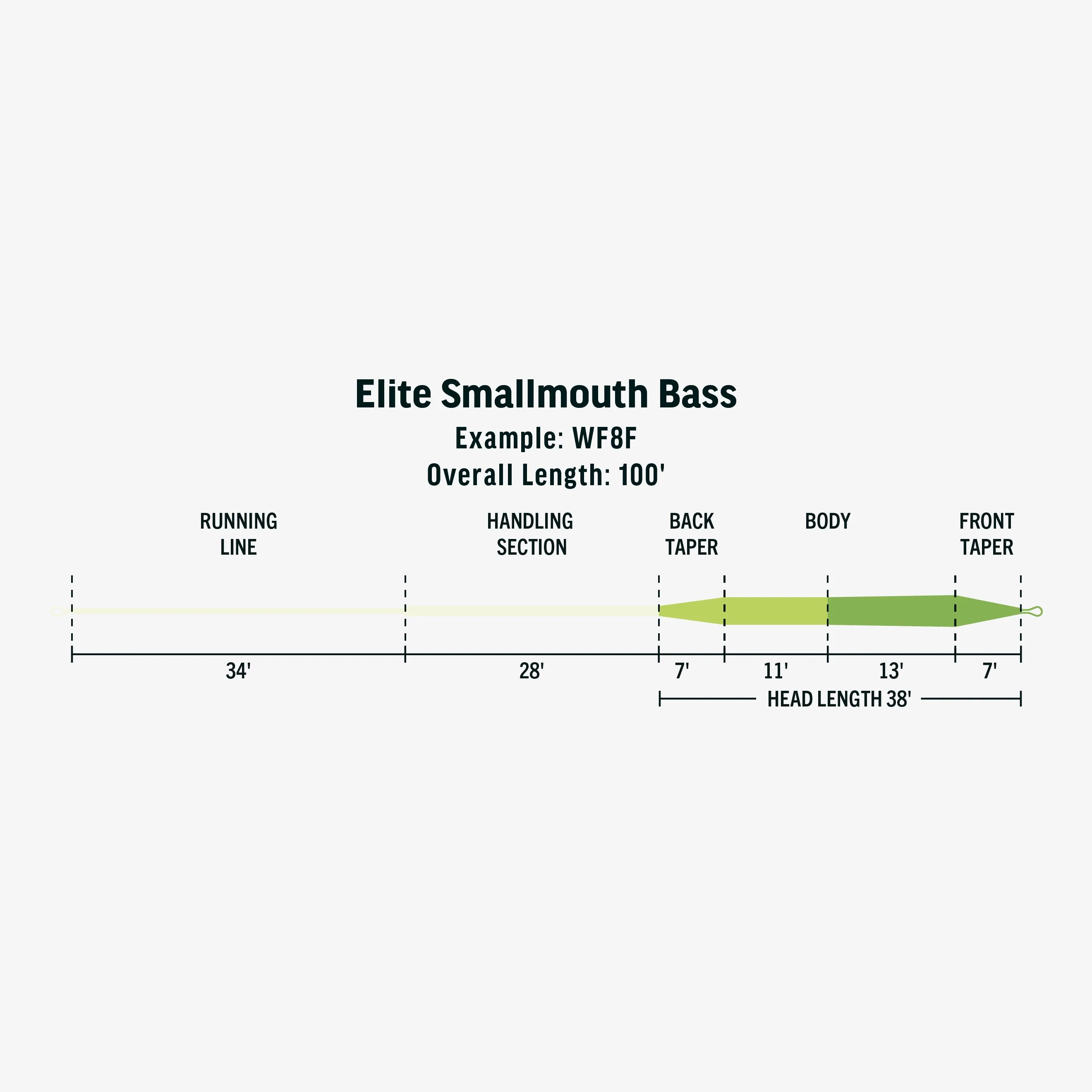 RIO Elite Smallmouth Bass Fly line - Image 3
