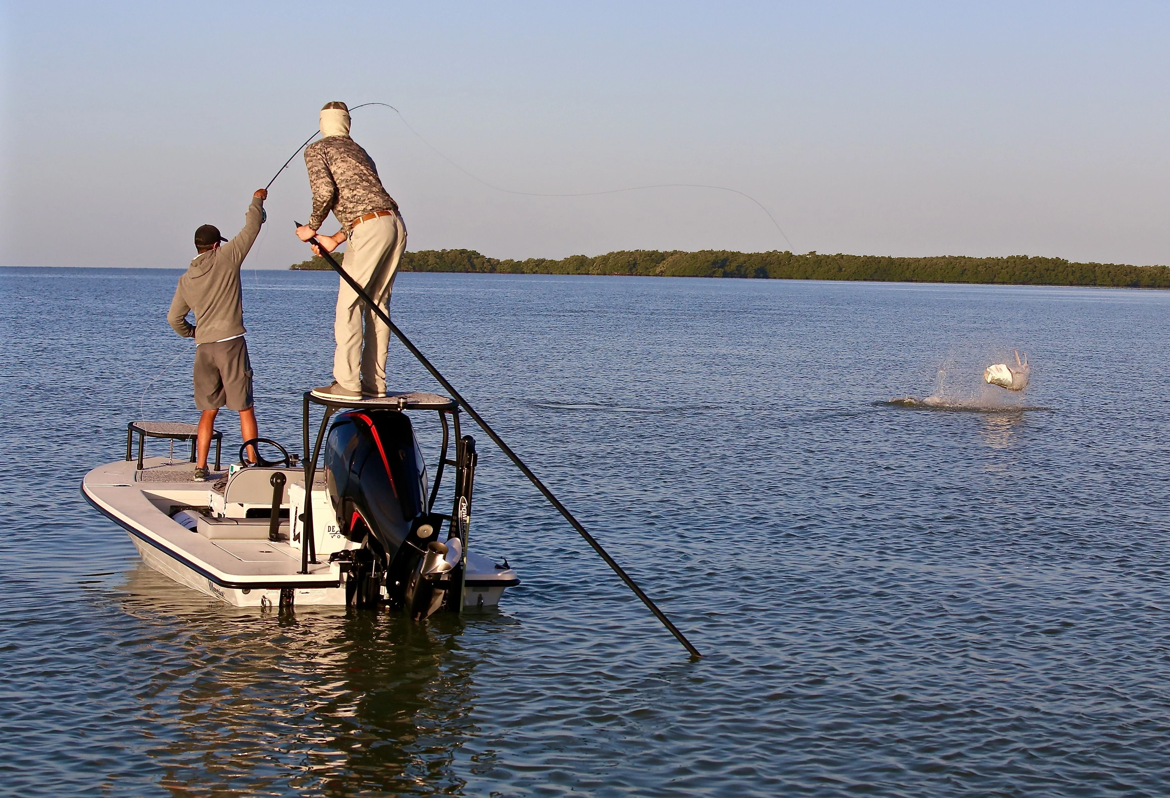 Tarpon - Image 3