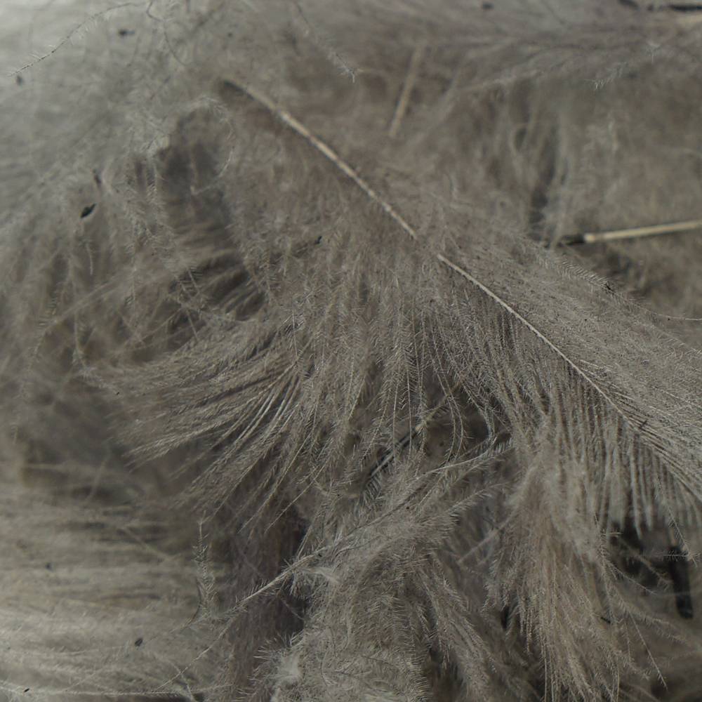 Trout Hunter CDC Feathers Dyed 0.5 gram - Image 19