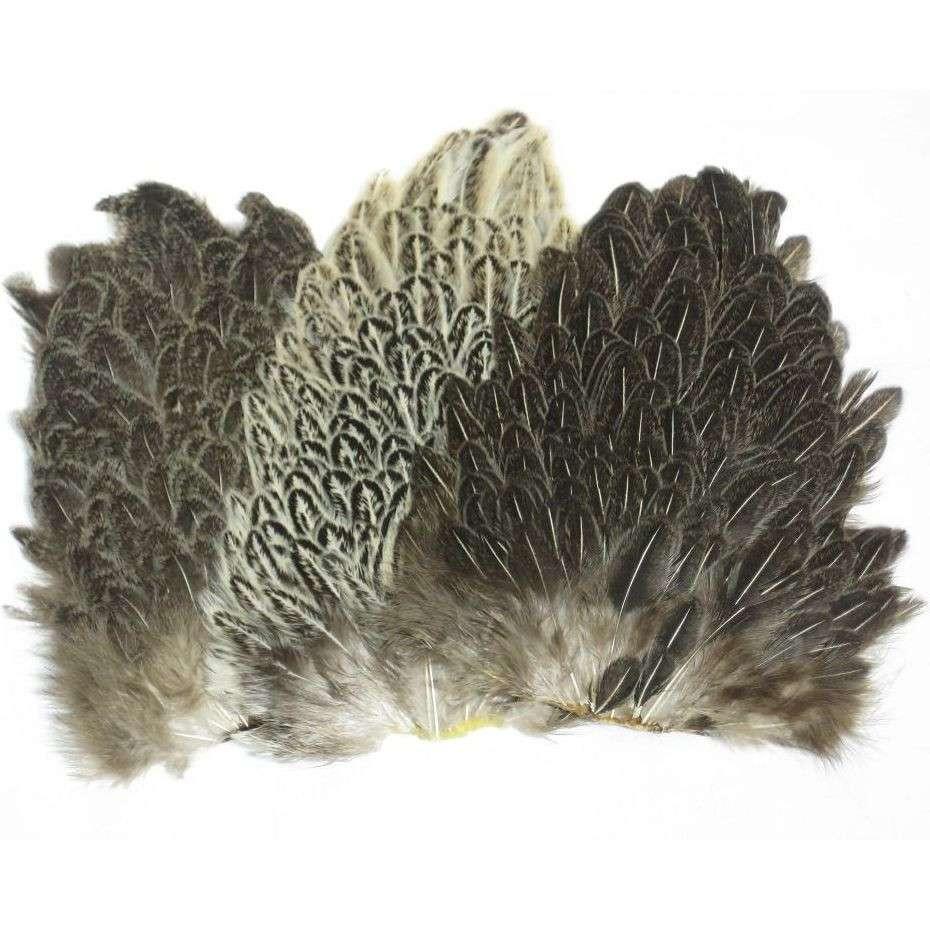 HEN SADDLE PATCHES