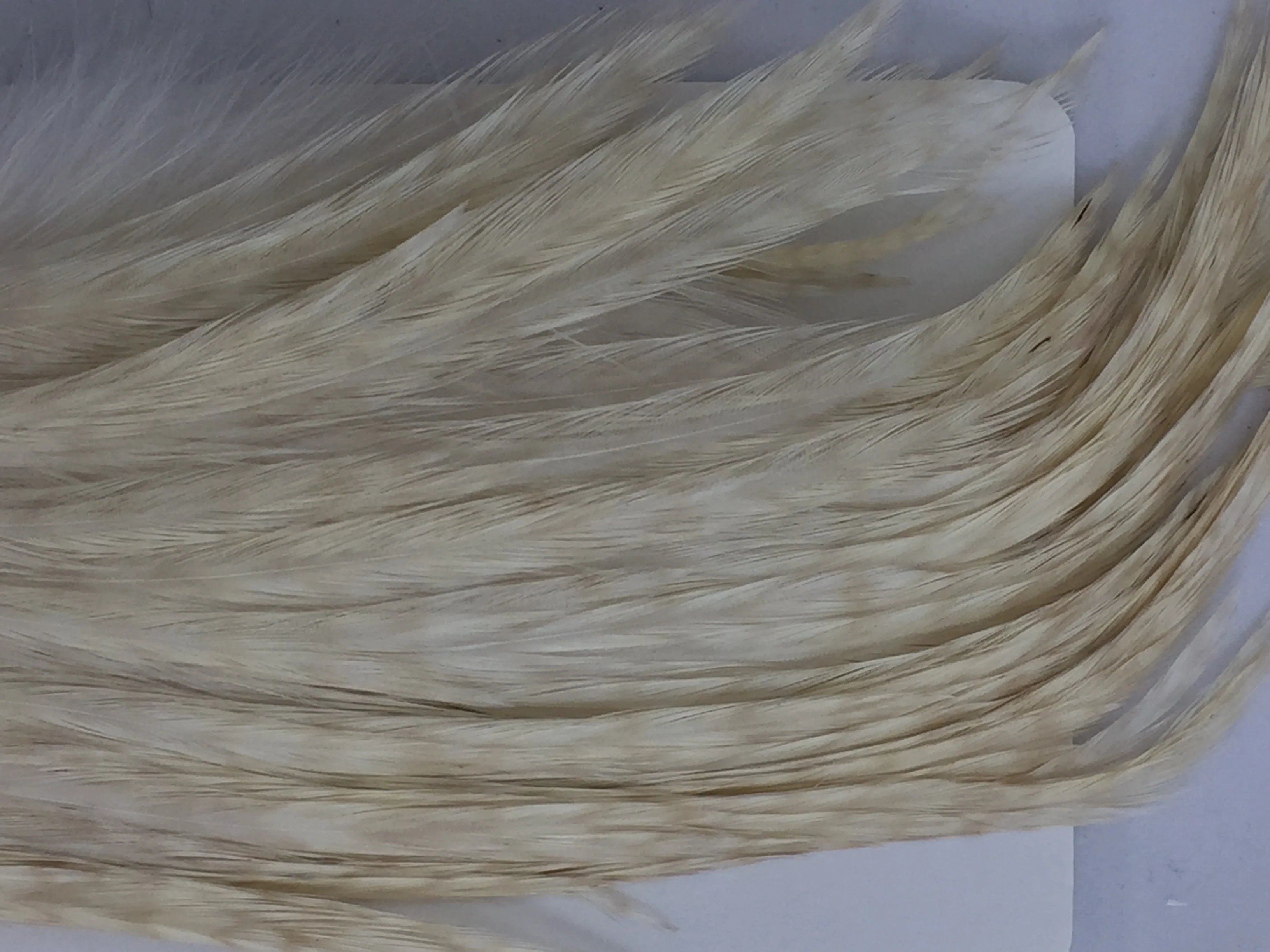 Whiting Bugger Pack - Image 17